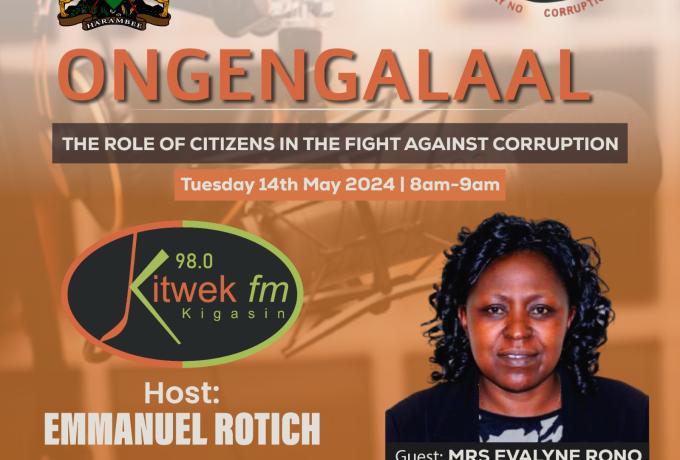 The Anti-Corruption Radio Campaign, 2024
